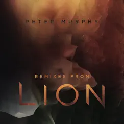 Remixes from Lion by Peter Murphy album reviews, ratings, credits