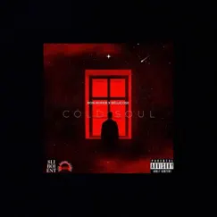 Cold Soul (feat. Bellicose) Song Lyrics