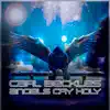 Angels Cry Holy - Single album lyrics, reviews, download