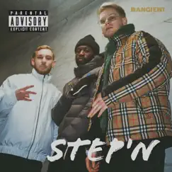 Step'N (feat. Careless) Song Lyrics