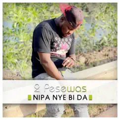 Nipa Nye Bi Da - Single by 2 pesewas album reviews, ratings, credits