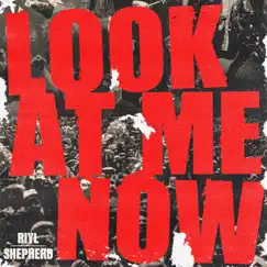 Look At Me Now (Instrumental) Song Lyrics