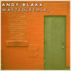 Wasted (Remix Dub) Song Lyrics