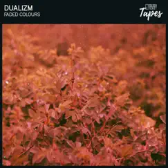Faded Colours by Dualizm & Golden Ticket Tapes album reviews, ratings, credits