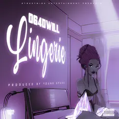 Lingerie - Single by 064DWill album reviews, ratings, credits