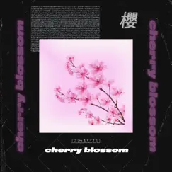 Cherry Blossom - Single by Nawn album reviews, ratings, credits