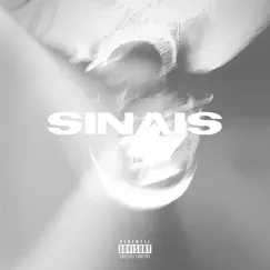 Sinais Song Lyrics