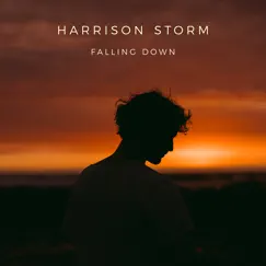 Falling Down Song Lyrics