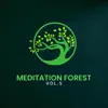 Meditation Forest, Vol. 5 album lyrics, reviews, download