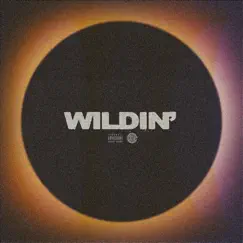 WILDIN' - Single by Sebzxp! album reviews, ratings, credits