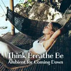 Think Breathe Be - Ambient for Coming Down by Various Artists album reviews, ratings, credits