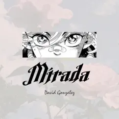 Mirada. (Version Acústica) - Single by David Gonzalez album reviews, ratings, credits