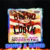 Divided We Fall (feat. Playboy the Beast & Killdozer) [Chopped N Slopped] - Single album lyrics, reviews, download