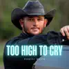 Too High To Cry - Single album lyrics, reviews, download