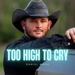 Too High To Cry - Single by Daniel Mock album reviews, ratings, credits
