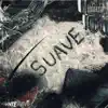 Suave (feat. Tesla da cherry & Romogamx) - Single album lyrics, reviews, download