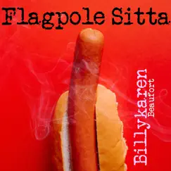 Flagpole Sitta (Alt Rebel Version) Song Lyrics