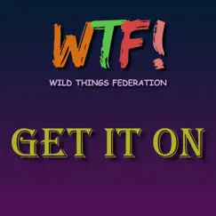 Get It On - Single by Wild Things Federation album reviews, ratings, credits