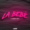 La Bebe (Turreo) - Single album lyrics, reviews, download