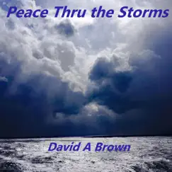 Peace Thru the Storms by David A. Brown album reviews, ratings, credits