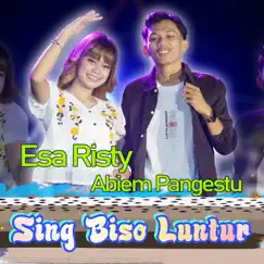 Sing Biso Luntur - Single by Esa Risty & Abiem Pangestu album reviews, ratings, credits