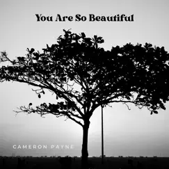 You Are so Beautiful Song Lyrics