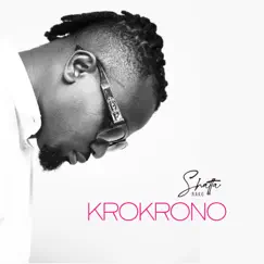 Krokrono - Single by Shatta Rako album reviews, ratings, credits