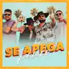 Se Apega Pouco (Studio) - Single album lyrics, reviews, download
