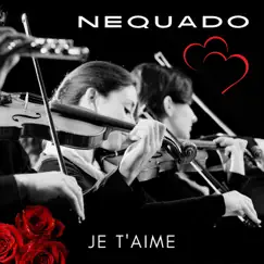 Je T'Aime Song Lyrics