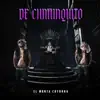 De Chamaquito - Single album lyrics, reviews, download