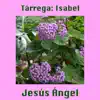 Tárrega: Isabel - Single album lyrics, reviews, download