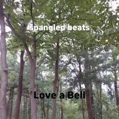 Spangled Beats Song Lyrics