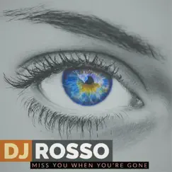 Miss You When You're Gone by DJ Rosso album reviews, ratings, credits