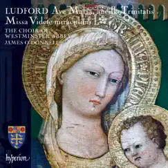 Ludford: Missa Videte miraculum; Ave Maria, ancilla Trinitatis; etc. by James O'Donnell & Westminster Abbey Choir album reviews, ratings, credits