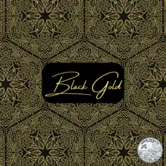 Black Gold - Single by FigaDro album reviews, ratings, credits