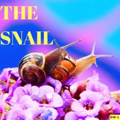 The Snail Song Lyrics