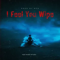 I Feel You Wipe - Single by Prod. By_MCD album reviews, ratings, credits