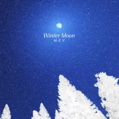 Winter Moon Song Lyrics
