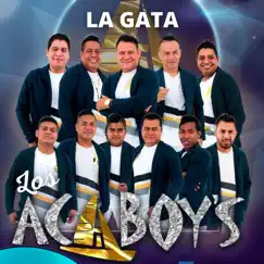 La Gata - Single by Los Acaboy's album reviews, ratings, credits