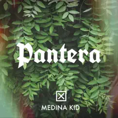 Pantera Song Lyrics