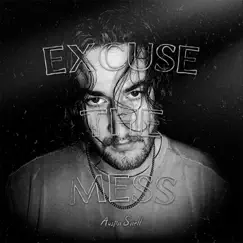 Excuse The Mess - Single by Austin Snell album reviews, ratings, credits