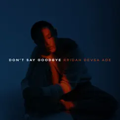 Don't Say Goodbye Song Lyrics