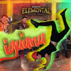 La Iguana - Single by Banda Elemental de Mazatlán Sinaloa album reviews, ratings, credits