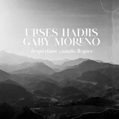 Despiértame Cuando Llegues - Single by Gaby Moreno & Ulises Hadjis album reviews, ratings, credits