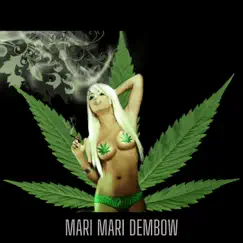 Mari Mari Dembow - Single by TQuality Beatz album reviews, ratings, credits