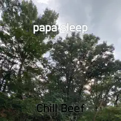 Papa Sleep - Single by Chill Beef album reviews, ratings, credits