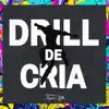 Drill de Cria (feat. Mc Diego DS & MC GL) song lyrics