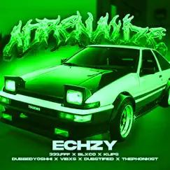 ADRENALIZE (feat. 333.fff, BLXCO, KLIPS, DUBBEDYOSHHI, VIBXS, DUBSTIFIED & THEPHONKIST) - EP by Echzy album reviews, ratings, credits