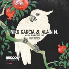 Maybe in Another Life - Single by Niko Garcia & Alain M. album reviews, ratings, credits