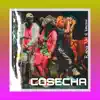 Cosecha - Single album lyrics, reviews, download